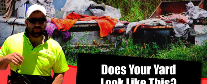 yard cleaning service